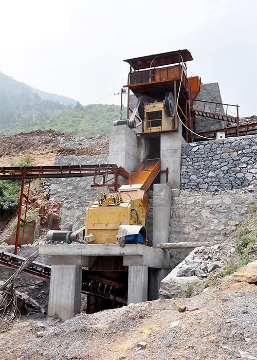 Жижиг эрч хүчтэй тэжээгч